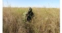 Маскировочный халат Taganrog Кикимора – купить по цене 3550 руб. в интернет-магазине в городе Ярославль картинка 13